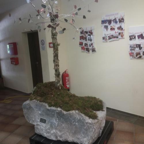 Der Steinabum im Foyer des VZ