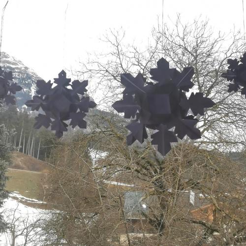 2020_schneeflocken_05