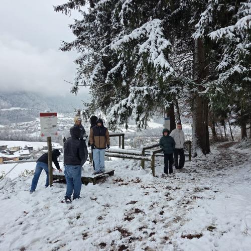 schnee