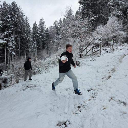 schnee