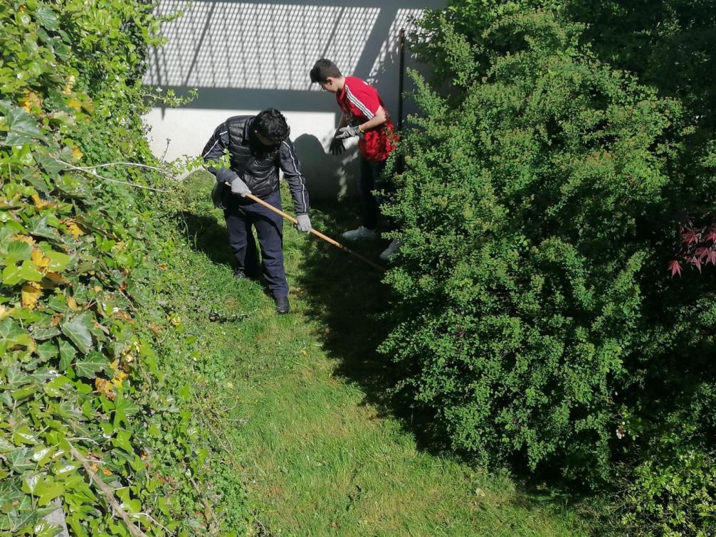 Das gemähte Gras wurde zusammengerecht