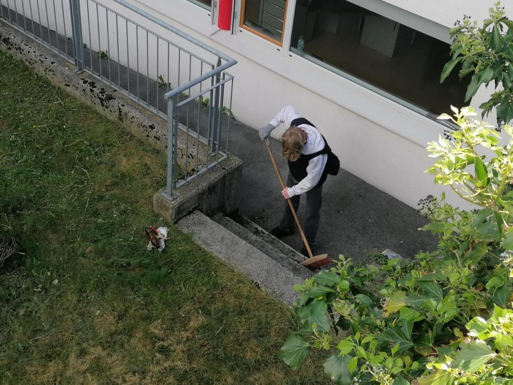 Treppen und Gehweg wurden gesäubert